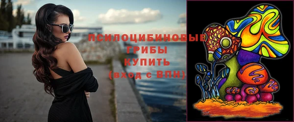 спиды Абаза