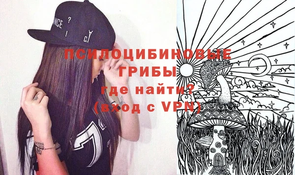 МДПВ Абинск
