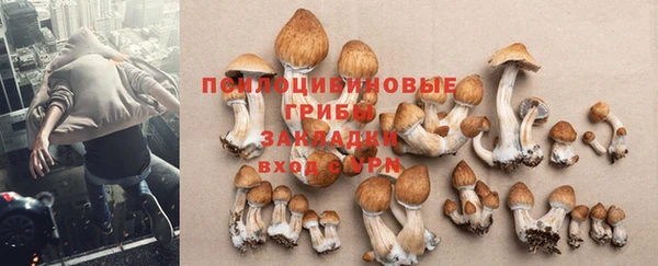 МДПВ Абинск