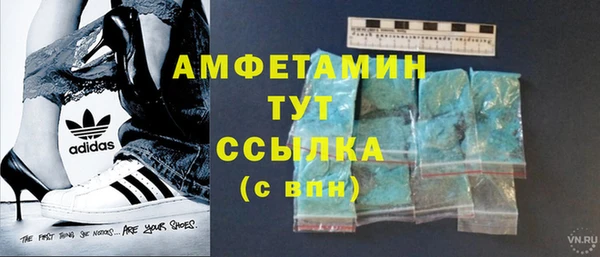 шишки Рославль