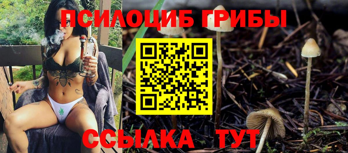 Псилоцибиновые грибы Magic Shrooms  цена наркотик  Серов  Вход с VPN 